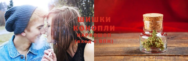 mdpv Каменногорск