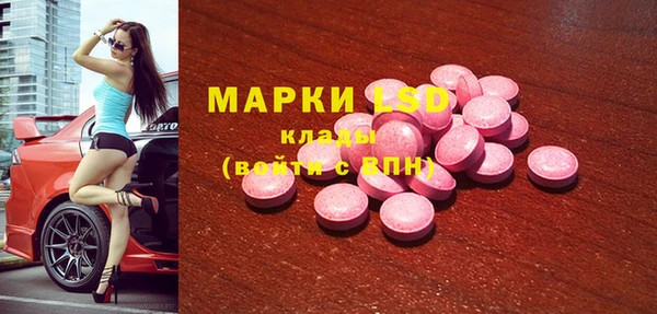 mdpv Каменногорск