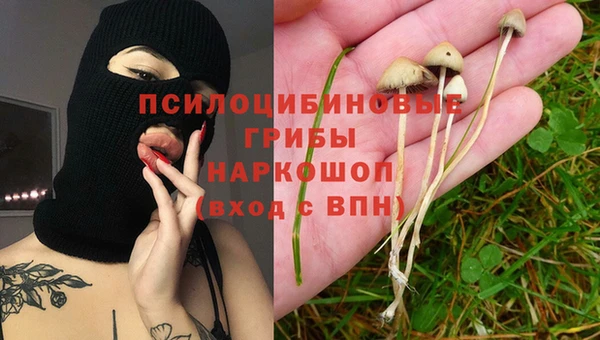кокаин Каменка