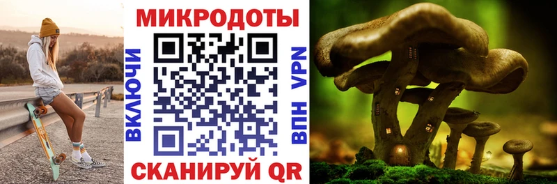 Псилоцибиновые грибы Psilocybine cubensis  Купить где  Верещагино 